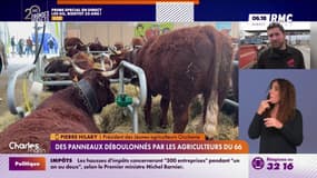 Agriculteurs en colère: "on a de multiples revendications mais la principale c'est le revenu" atteste Pierre 