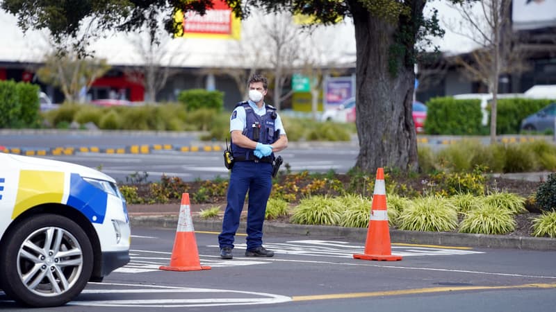 Nouvelle-Zélande: les restes de deux enfants retrouvés dans des valises vendues aux enchères
