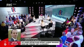 Fabien Di Philippo: "Quand un électeur prend un bulletin LR, il ne sait plus pourquoi il vote"