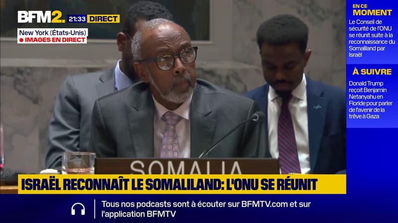 Reconnaissance du Somaliland par Israël: "Cet acte d'agression vise à encourager le morcellement du territoire somalien" (représentant somalien)