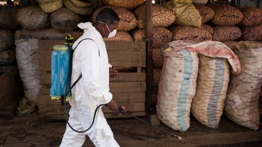 Un homme désinfecte les rues le long du marché, à Antananarivo le 10 octobre 2017.