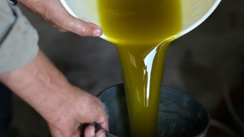 Vente d'huile d'olive: la répression des fraudes dénonce le taux 