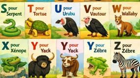 Un extrait de l'abécédaire généré par ChatGPT.