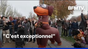 Quelque 2.500 teckels ont défilé dans les rues de la capitale pour la "Paris Sausage Walk" 