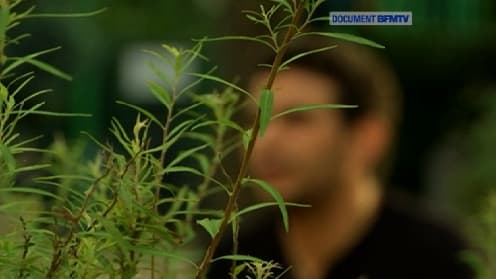 Houari, le neveu de la victime, ne croit pas à une mort naturelle.