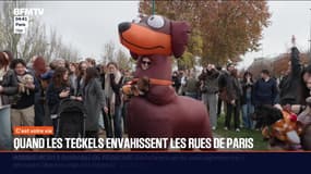 C'est votre vie - 17/11