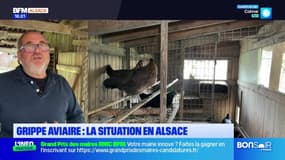 Le journal de 18h du mercredi 22 octobre 2025