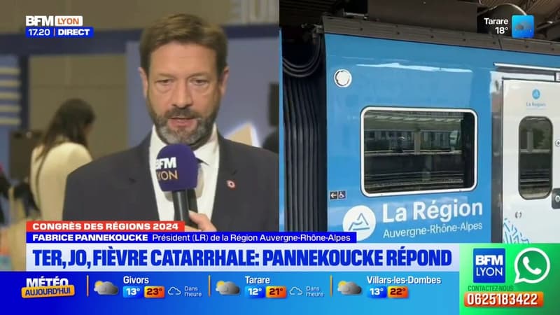 Auvergne-Rhône-Alpes: le président (LR) de la région revient sur le projet d'aménagement du RER métropolitain