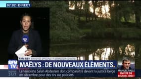 Disparition de Maëlys: un marécage à nouveau sondé, le suspect clame toujours son innocence 