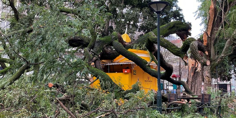 Une photo prise le 28 janvier 2026 montre des branches d'arbres tombées sur un kiosque à Lisbonne après le passage de la tempête Kristin au Portugal.