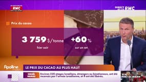 Le prix du cacao au plus haut depuis 1979