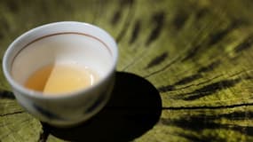Une tasse de thé sur un rondin de bois dans la plantation de thé "Filleule des fées" à Languidic, dans l'ouest de la France, le 9 août 2023