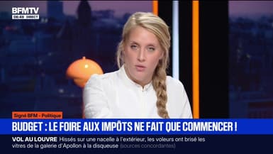 SIGNÉ BFM - Examen du budget: "Nos députés sont pris de taxite aiguë"