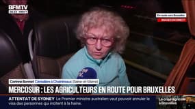 200 agriculteurs de Seine-et-Marne ont pris la route pour aller manifester Bruxelles contre le Mercosur 