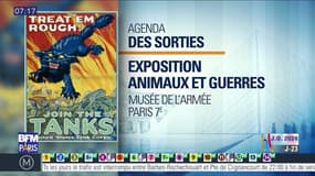 Sortir à Paris: L'exposition "Animaux & Guerres" au musée de l'Armée jusqu'au 9 octobre