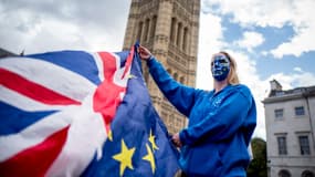 Une manifestante pro-UE devant le Parlement britannique, le 13 septembre 2017, à Londres. - Tolga Akmen - AFP