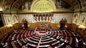 Le Sénat veut remplacer l'IFI par un "impôt sur la fortune improductive"