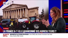 "Je refuse que l'écologie soit le bouc émissaire de la crise agricole", déclare Marine Tondelier (Les Écologistes)