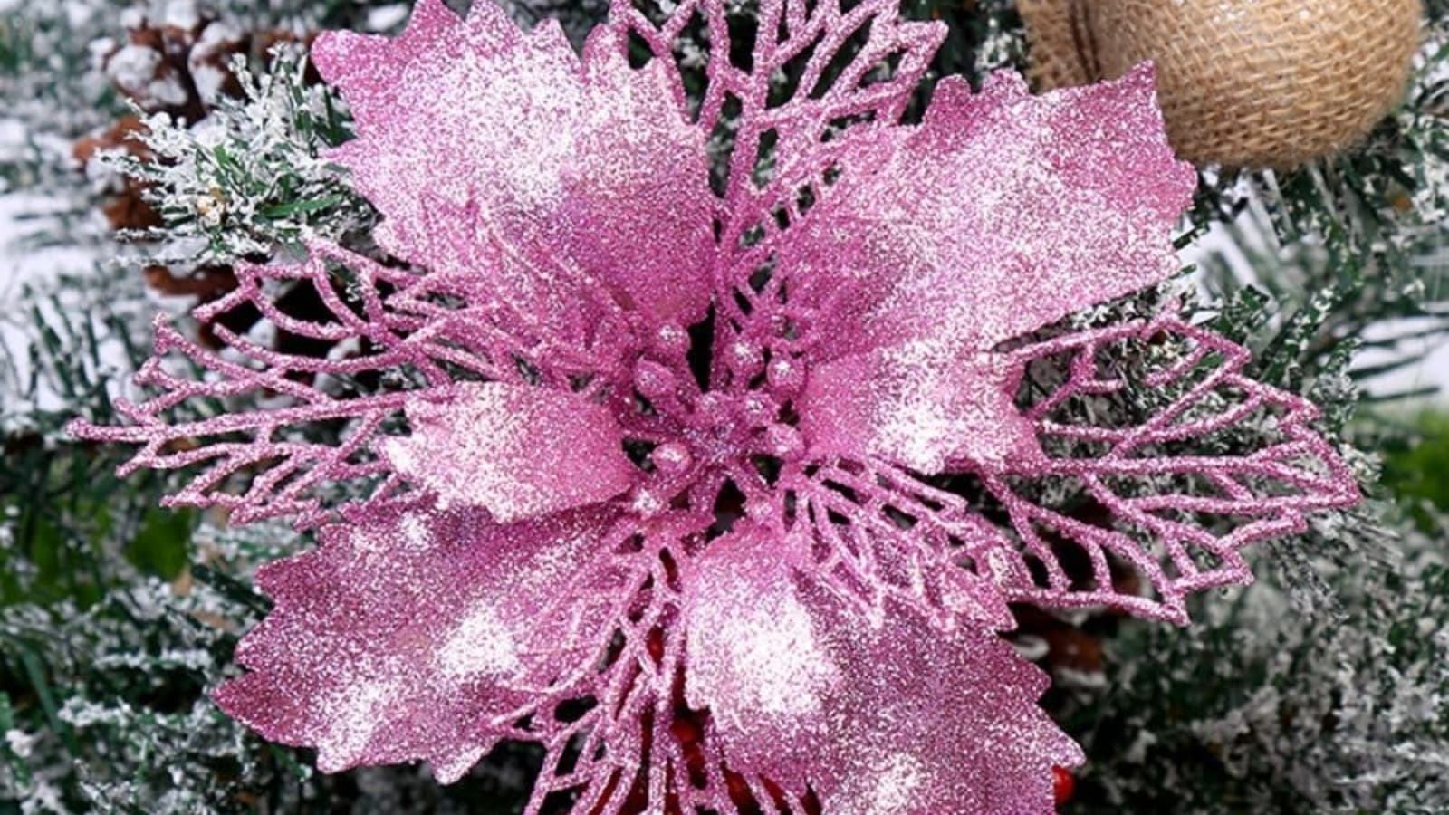 Amazon Haul Amazon Haul