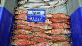 Un étal de poissonnier, à La Faute-sur-Mer, le 29 Avril 2010. (Illustration)