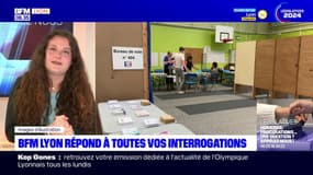 Rôle des députés, procuration... BFM Lyon répond à vos questions sur les élections législatives