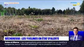Yvelines: 85 communes contraintes à des restrictions à cause de la sécheresse