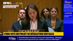 "La famine à Gaza a été confirmée", affirme le Danemark au conseil de sécurité de l'ONU