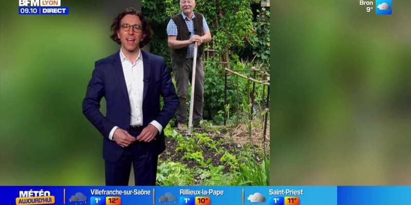 Un peu de cinéma, du jardinage et de la bonne humeur - La météo de Colas du mardi 27 janvier 2026