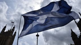 Le drapeau écossais, à Londres le 11 mai 2015