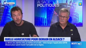 Quelle est la place du bio dans l'agriculture en Alsace?