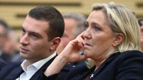 Jordan Bardella a déclaré ne plus vouloir siéger avec le parti d'extrême-droite allemand à la suite de propos tenus par sa tête de liste sur les SS. 