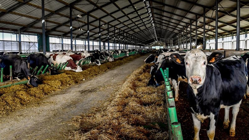 L'Etat et les 18.365 entreprises agroalimentaires françaises ont signé vendredi un "contrat de filière" destiné à relancer une industrie stratégique