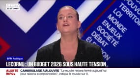 "Le plus probable, c'est qu'il y ait un budget avec toutes les horreurs qu'il y a actuellement contre le peuple", déclare Mathilde Panot (LFI)