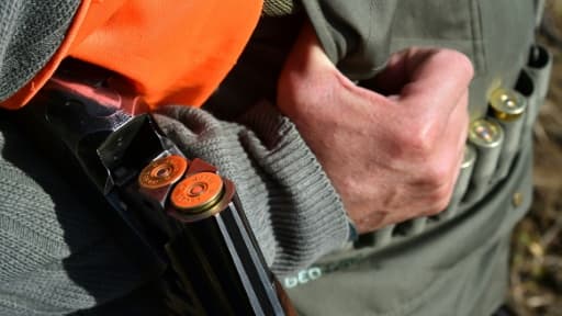 Plus de 1.000 chasseurs se sont rassemblés samedi dans le centre-ville de Rochefort (Charente-Maritime) pour protester contre l’interdiction de la chasse aux oies cendrées en février