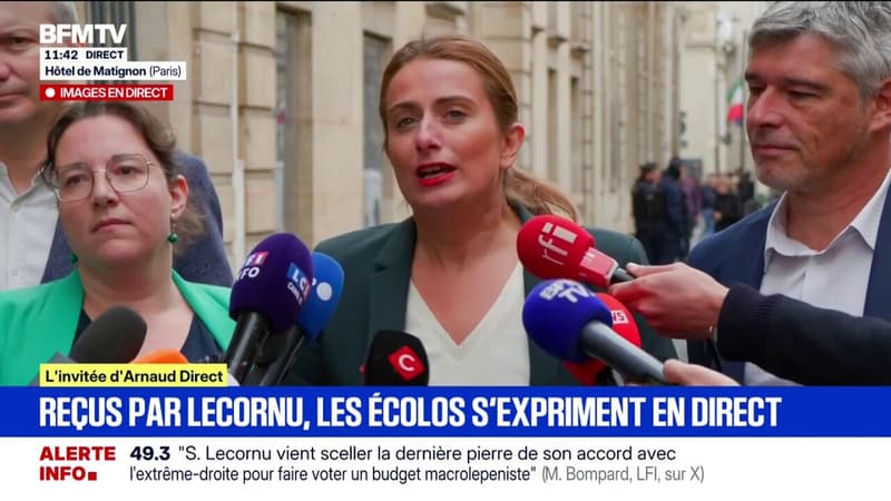 Marine Tondelier (Les Ã‰cologistes) dÃ©nonce la "stratÃ©gie du chloroforme" de SÃ©bastien...