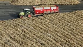 La Commission européenne a plaidé mercredi pour une diminution des fonds accordés à la Politique agricole commune. (image d'illustration)
