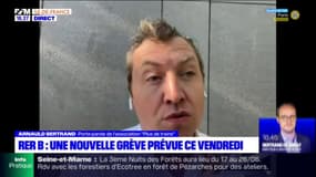 Appel à la grève sur le RER B: l'association Plus de trains appelle "à la responsabilité" de la CGT