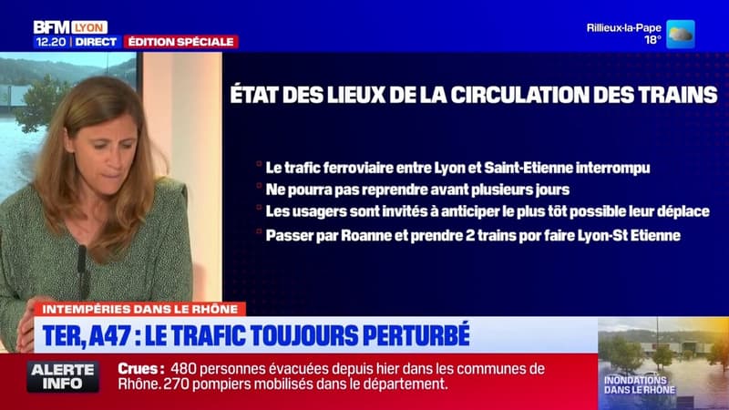 TER, A47: le trafic toujours perturbé dans le Rhône  (1/1)