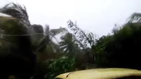 Cyclone Enawo à Madagascar - Témoins BFMTV