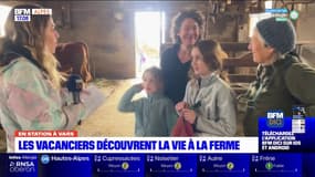 En station à Vars: les vacanciers découvrent la vie à la ferme 