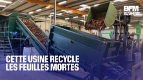  Cette usine recycle les feuilles mortes 