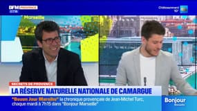 Secrets de Provence : votre chronique patrimoine