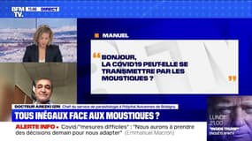 Sommes-nous tous inégaux face aux moustiques ? BFMTV répond à vos questions