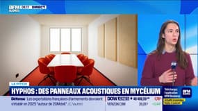 Le Pitch : Hyphos recourt aux racines des champignons - 21/01