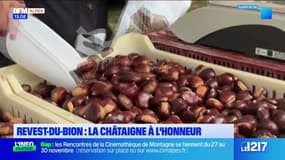 La châtaigne était à l'honneur à Revest-du-Bion
