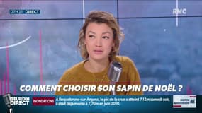 Dupin Quotidien : Comment choisir son sapin de Noël ? - 25/11