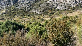 Le site de Courchon à Moustiers-Sainte-Marie (Alpes-de-Haute-Provence).