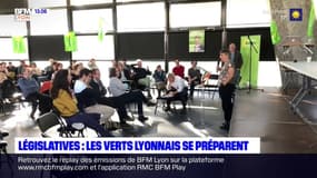 Élections législatives: les verts lyonnais se préparent