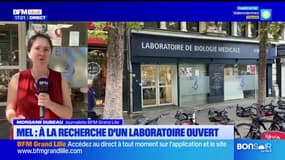 Métropole de Lille: les laboratoires d'analyse presque tous fermés en raison de la grève des biologistes