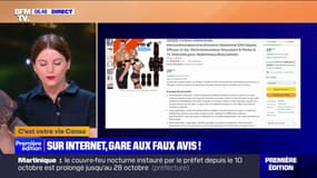 Sur Internet, les avis en ligne sont de plus en plus consultés, mais ils ne sont pas toujours fiables